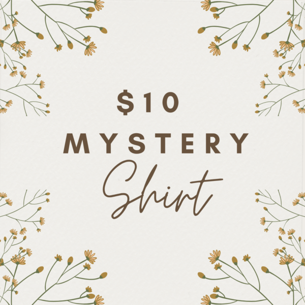 $10 Mystery Shirt