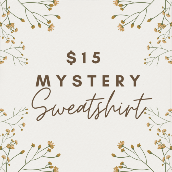 $15 Mystery Sweatshirt